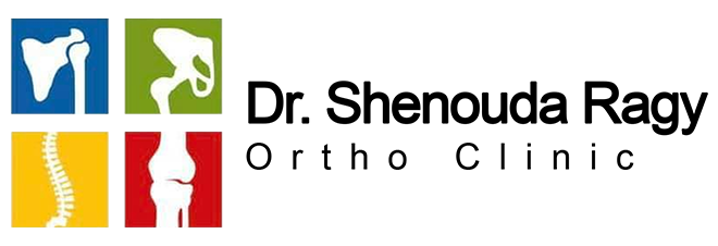 Dr. Shenouda Ragi Fares